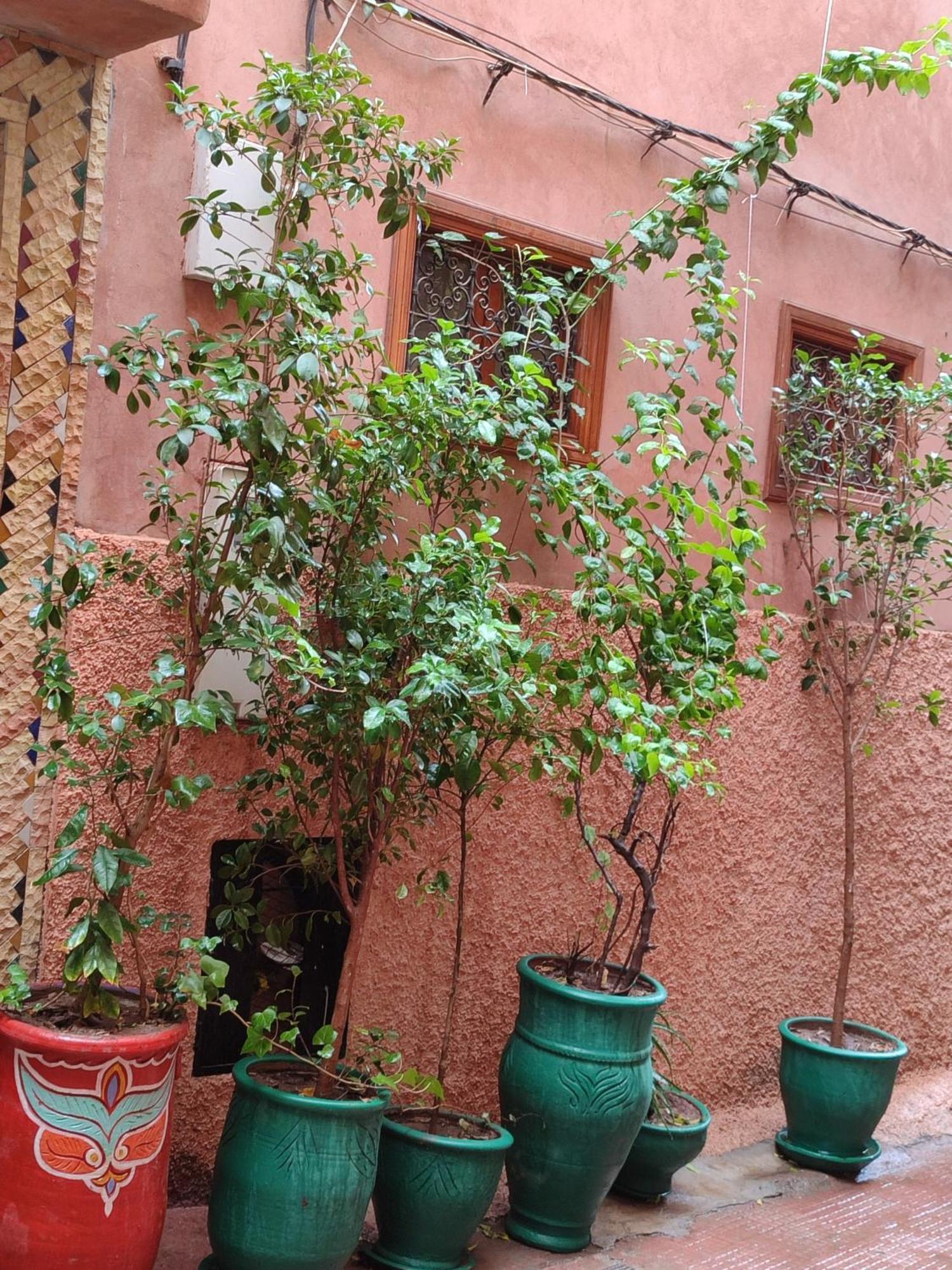 Riad Zahri Marrakesh Exterior foto